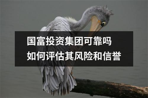 国富投资集团可靠吗 如何评估其风险和信誉