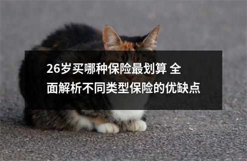 26岁买哪种保险最划算 全面解析不同类型保险的优缺点