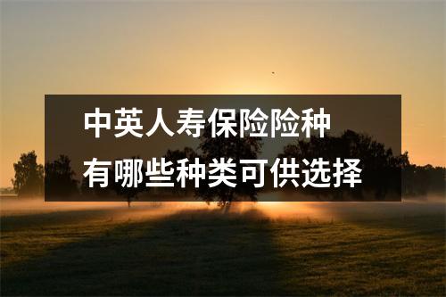 中英人寿保险险种 有哪些种类可供选择