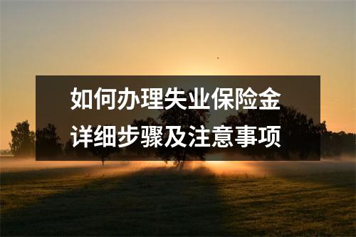 如何办理失业保险金 详细步骤及注意事项