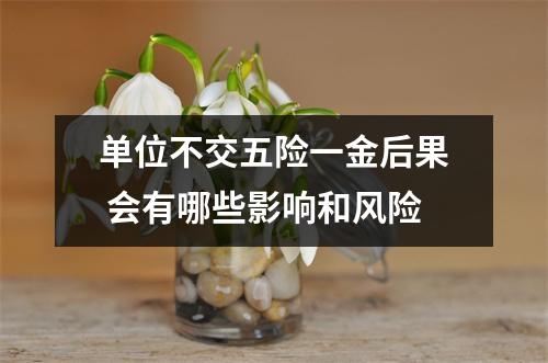 单位不交五险一金后果 会有哪些影响和风险