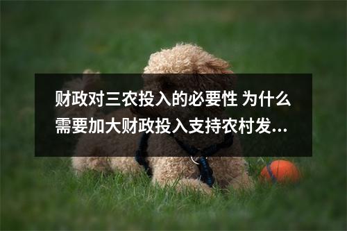 财政对三农投入的必要性 为什么需要加大财政投入支持农村发展