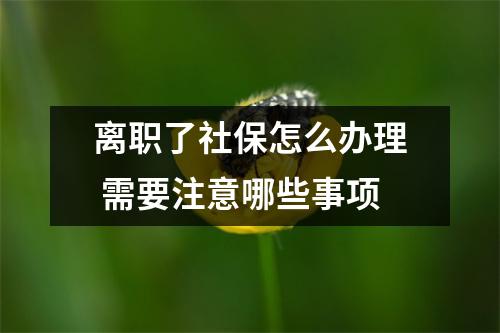 离职了社保怎么办理 需要注意哪些事项