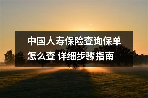 中国人寿保险查询保单怎么查 详细步骤指南