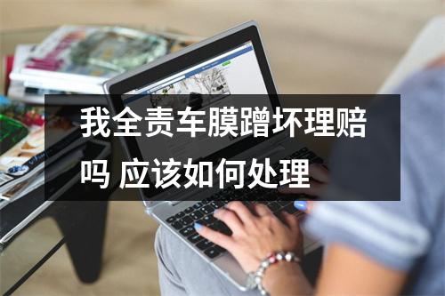 我全责车膜蹭坏理赔吗 应该如何处理