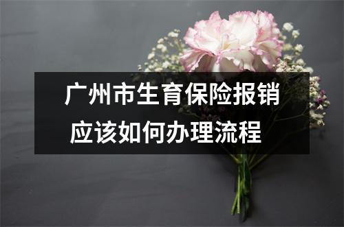 广州市生育保险报销 应该如何办理流程
