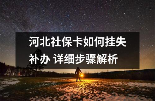河北社保卡如何挂失补办 详细步骤解析