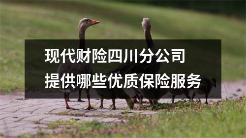 现代财险四川分公司 提供哪些优质保险服务