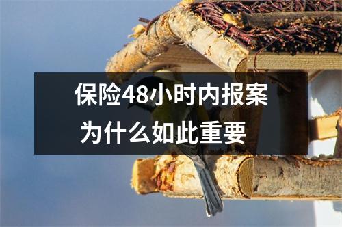 保险48小时内报案 为什么如此重要