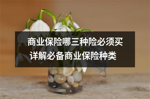 商业保险哪三种险必须买 详解必备商业保险种类