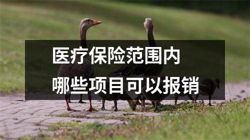 医疗保险范围内 哪些项目可以报销