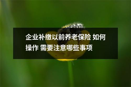 企业补缴以前养老保险 如何操作 需要注意哪些事项