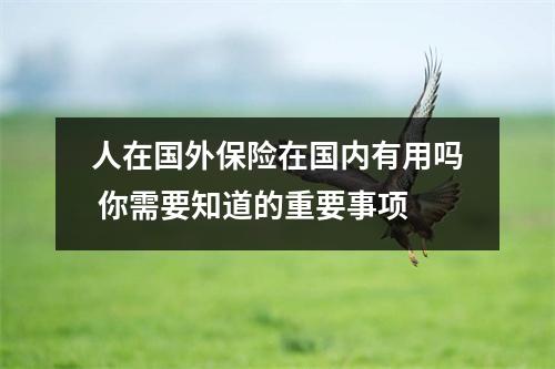 人在国外保险在国内有用吗 你需要知道的重要事项