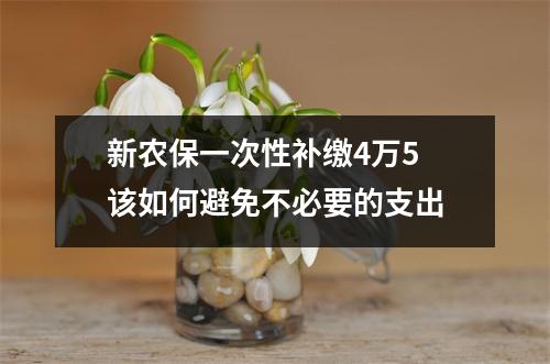 新农保一次性补缴4万5 该如何避免不必要的支出