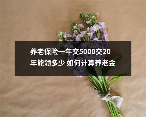 养老保险一年交5000交20年能领多少 如何计算养老金