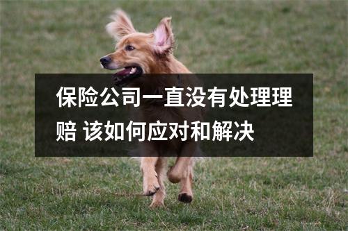 保险公司一直没有处理理赔 该如何应对和解决