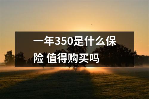 一年350是什么保险 值得购买吗