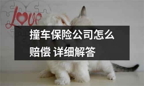 撞车保险公司怎么赔偿 详细解答