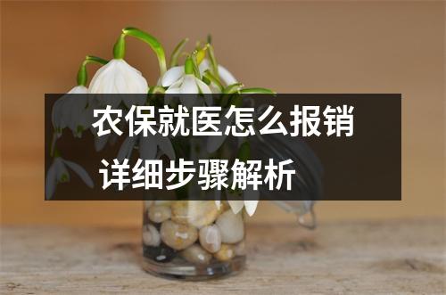 农保就医怎么报销 详细步骤解析