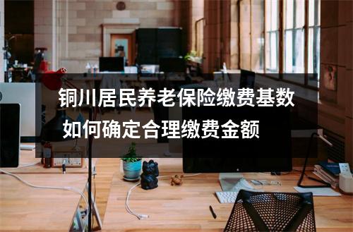 铜川居民养老保险缴费基数 如何确定合理缴费金额