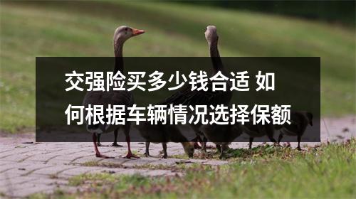 交强险买多少钱合适 如何根据车辆情况选择保额