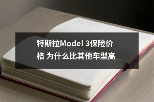特斯拉Model 3保险价格 为什么比其他车型高 