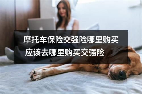 摩托车保险交强险哪里购买 应该去哪里购买交强险