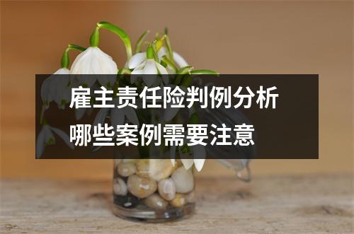 雇主责任险判例分析 哪些案例需要注意 