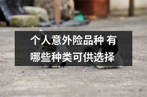 个人意外险品种 有哪些种类可供选择