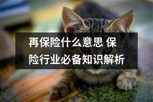 再保险什么意思 保险行业必备知识解析