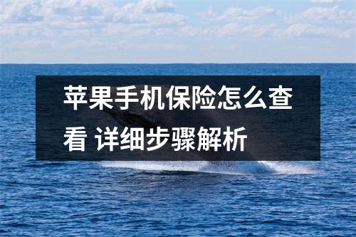 苹果手机保险怎么查看 详细步骤解析