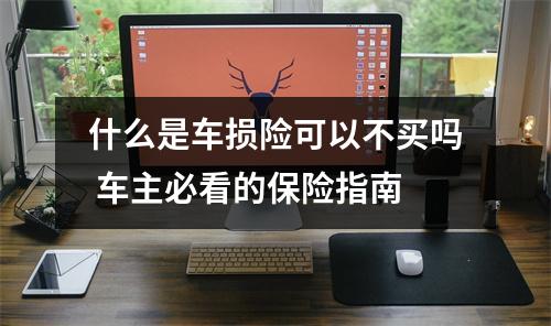 什么是车损险可以不买吗 车主必看的保险指南