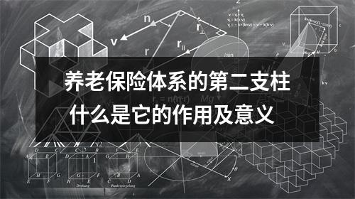 养老保险体系的第二支柱 什么是它的作用及意义