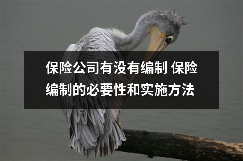 保险公司有没有编制 保险编制的必要性和实施方法