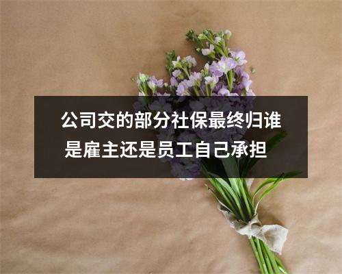公司交的部分社保最终归谁 是雇主还是员工自己承担