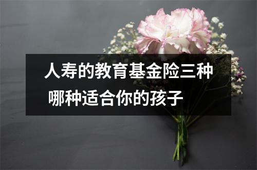 人寿的教育基金险三种 哪种适合你的孩子