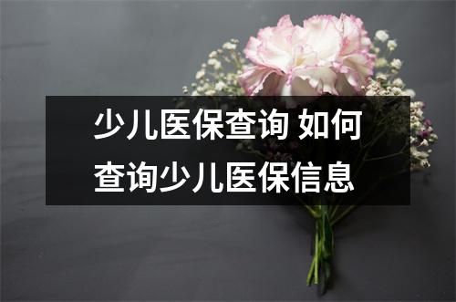 少儿医保查询 如何查询少儿医保信息