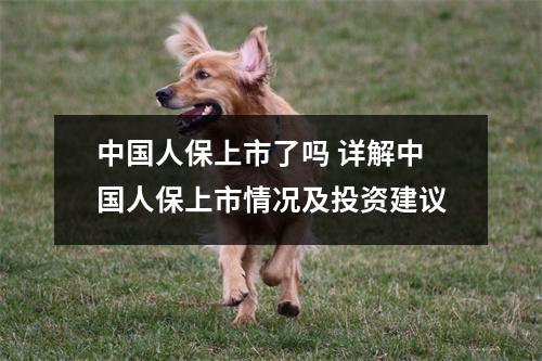 中国人保上市了吗 详解中国人保上市情况及投资建议