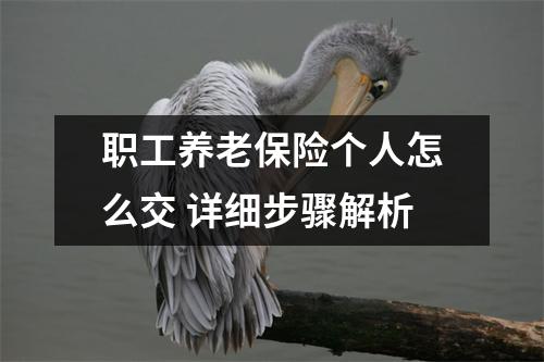 职工养老保险个人怎么交 详细步骤解析