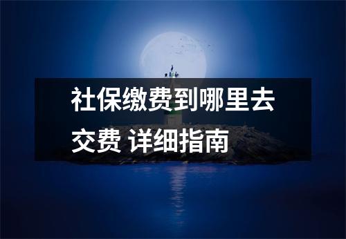 社保缴费到哪里去交费 详细指南
