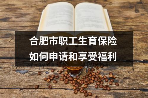 合肥市职工生育保险 如何申请和享受福利