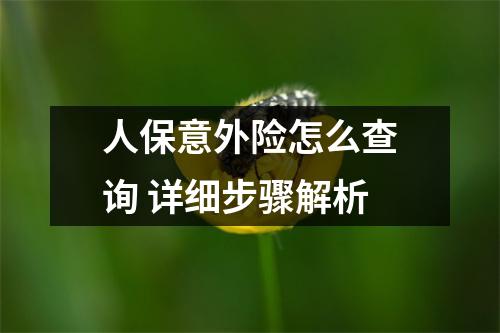 人保意外险怎么查询 详细步骤解析