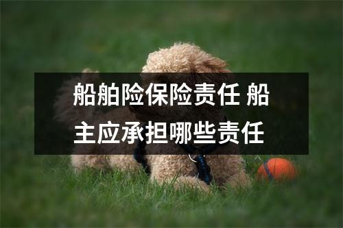 船舶险保险责任 船主应承担哪些责任