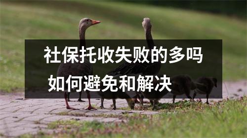 社保托收失败的多吗 如何避免和解决