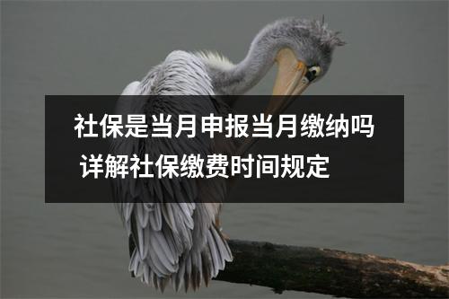 社保是当月申报当月缴纳吗 详解社保缴费时间规定