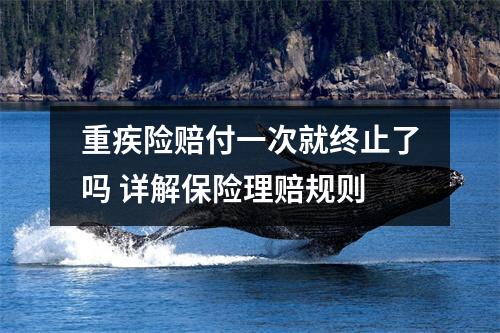 重疾险赔付一次就终止了吗 详解保险理赔规则