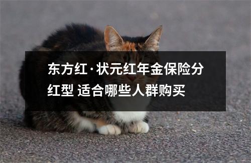 东方红·状元红年金保险分红型 适合哪些人群购买 