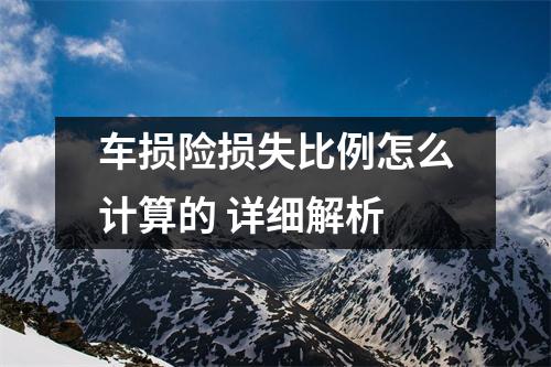 车损险损失比例怎么计算的 详细解析