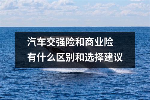 汽车交强险和商业险 有什么区别和选择建议