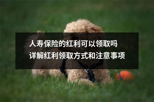 人寿保险的红利可以领取吗 详解红利领取方式和注意事项
